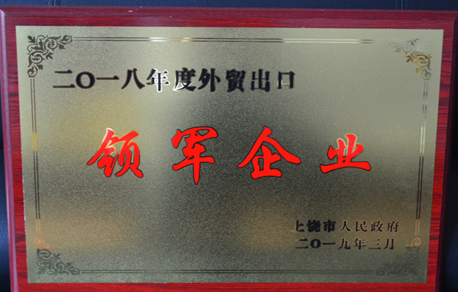 Leading Foreign Trade Export Enterprise in 2019