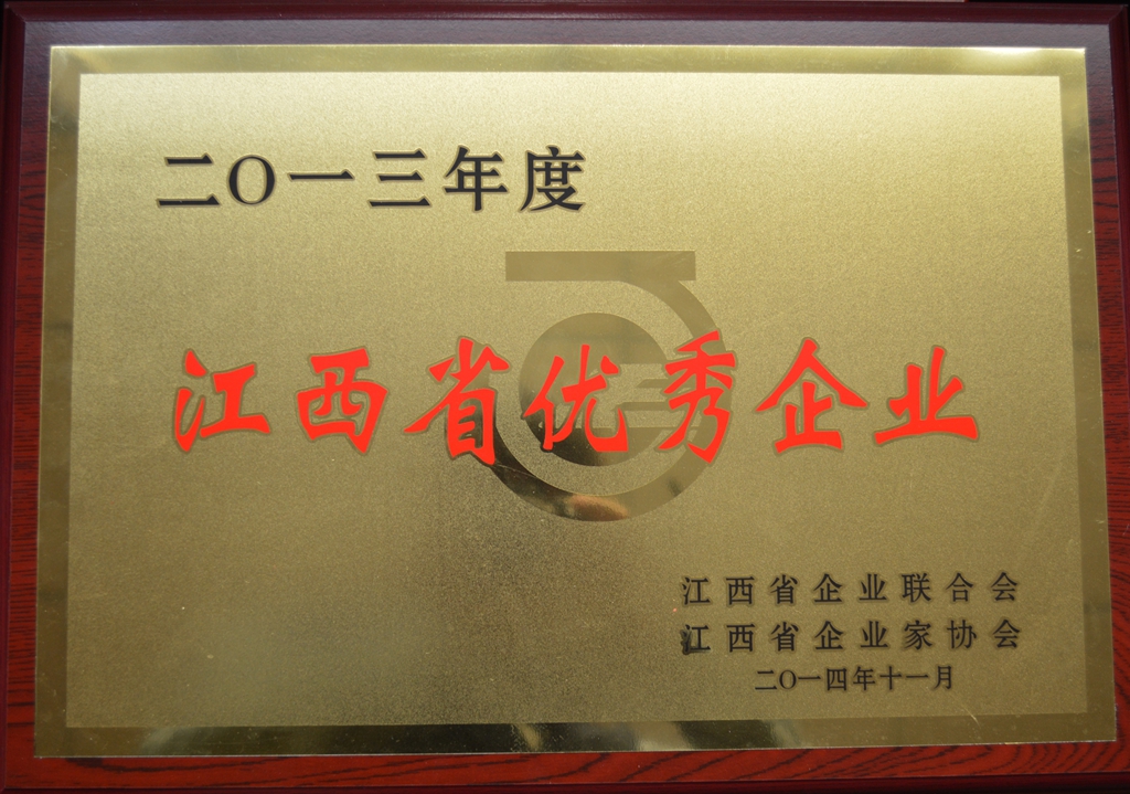 Outstanding Enterprise of Jiangxi Province in 2013