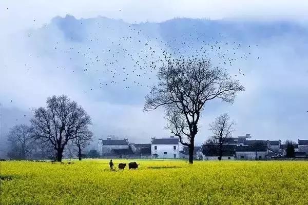 Me and the 40th Anniversary of Reform and Opening-Up: From a Zhejiang Businessman to a Jiangxi Businessman