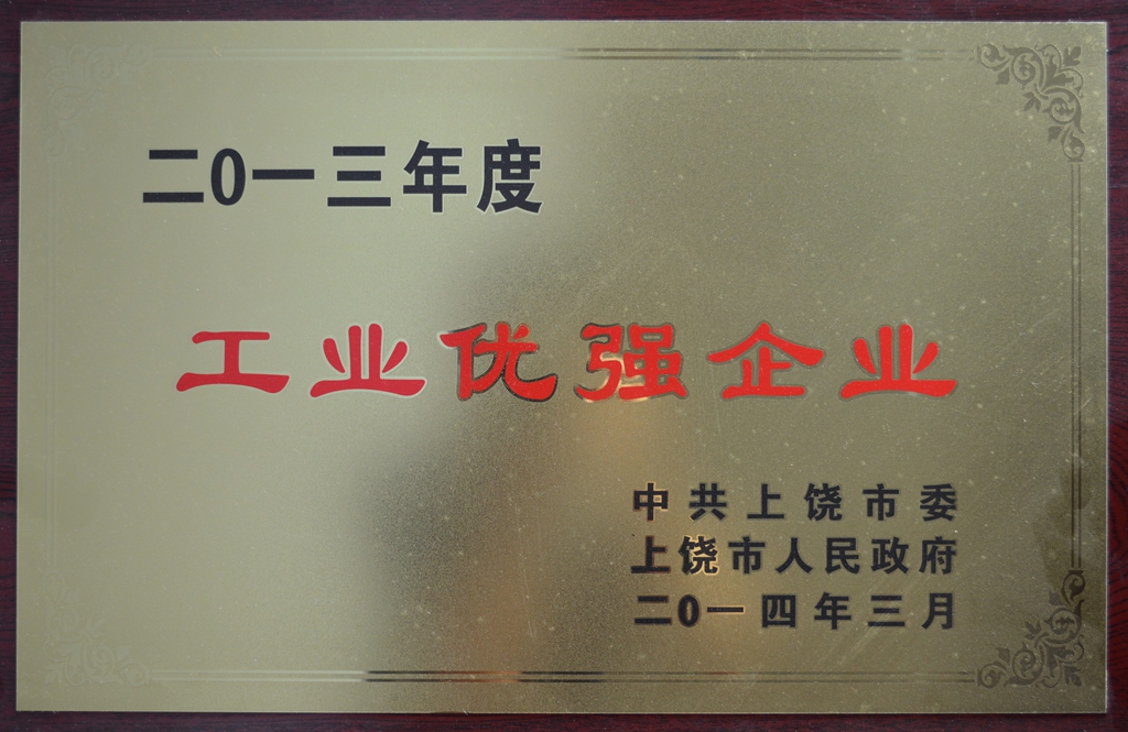 Excellent Industrial Enterprise in 2013